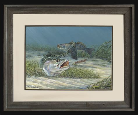 Sale Fine Art Spotted Sea Trout Pair Steve Whitlock Game Fish Art
