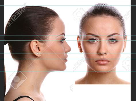 Digital Animation Creating Character Reference Image For Model