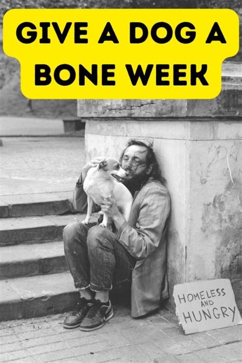 2023 Give A Dog A Bone Week Helps Dogs Of The Homeless