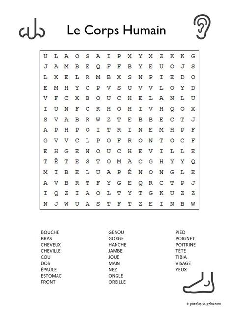 French Body Vocabulary Word Search Puzzle Learn French French Words