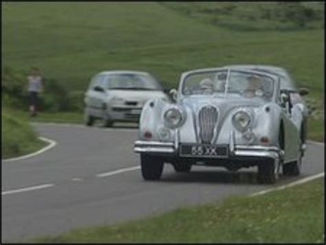 Jaguars In First Run Through South Downs National Park Bbc News