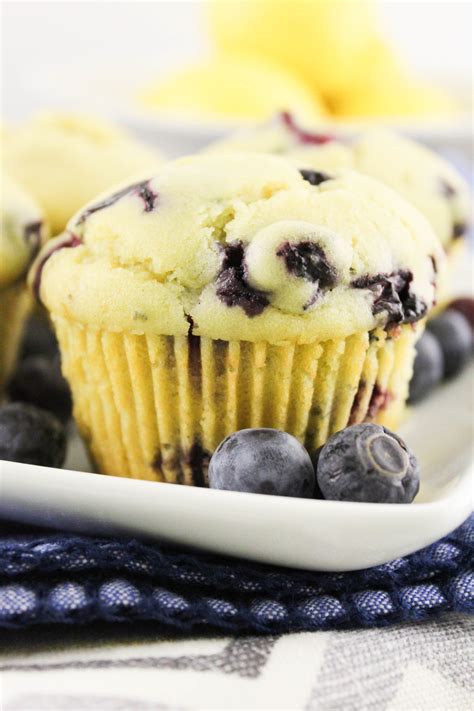 Vegan Blueberry Muffins Posts By Jamie Fisher Bloglovin