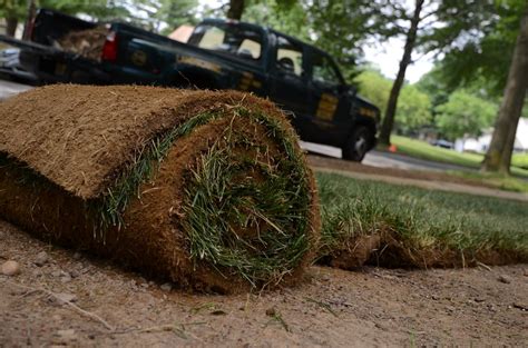 How to care for new sod in spring. Planting Sod: What You Need to Know to Establish a New ...