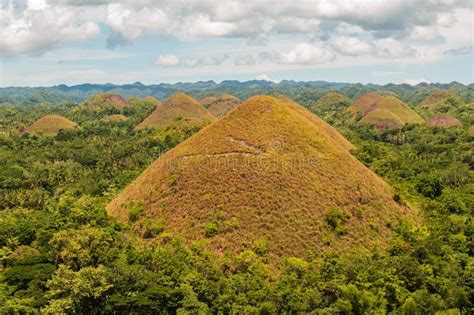 Chocolate Hills In Bohol The Philippines Bohol`s Most Famous Tourist