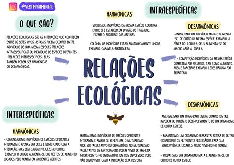 Identifiquem As Relações Ecológicas Apresentadas Na Representação Esquemática