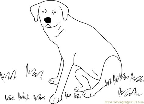 Dog Sitting On Grass Coloring Page Free Dog Coloring Pages