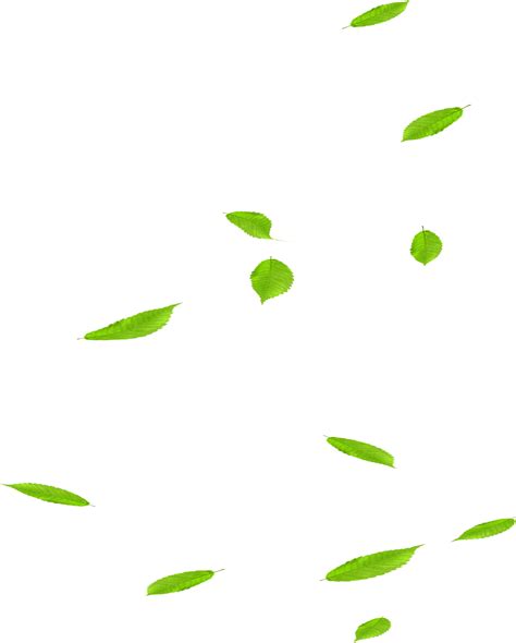 Falling Green Leaves  Transparent Leaf Clipart Animation Leaf