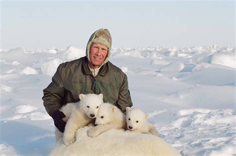 Polar Bear Researcher Wins Prestigious Conservation Award Alaska