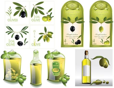 Vector Olive Oil Vectors Graphic Art Designs In Editable Ai Eps Svg