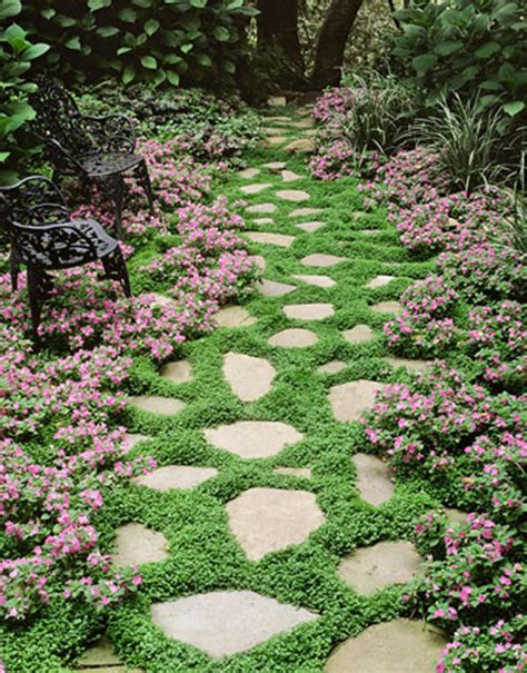 15 Beautiful Plants And Ground Cover For Garden Pathways