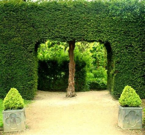 Formal French Garden Eliot Raffit Romantisme Architect Artist