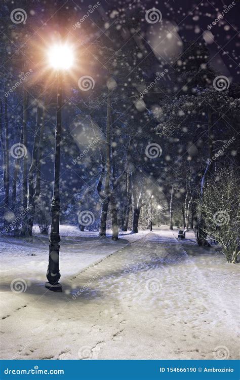 Wonderful Winter Evening Stock Photo Image Of Mieditation 154666190