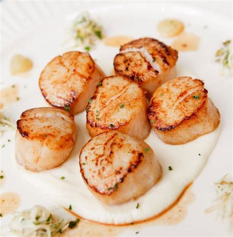 Maybe you would like to learn more about one of these? Baked Scallops | Cape Cod LIFE