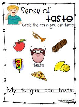 Sense Of Taste Worksheet By Teacherhope Tpt