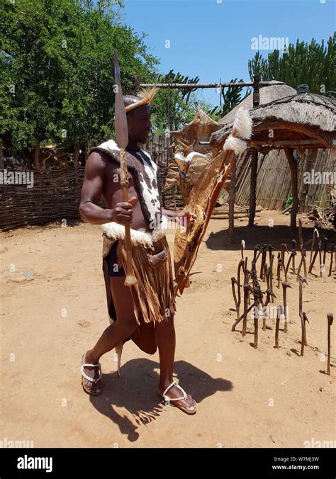 Traditional Zulu Warrior At Shakaland Zulu Cultural Village Eshowe Kwazulu Natal South Africa