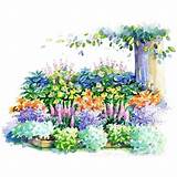 Butterfly Shade Garden Images