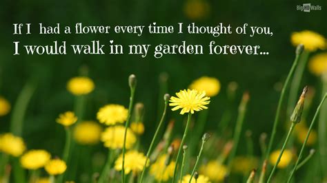 Quotes About Yellow Flowers Quotesgram