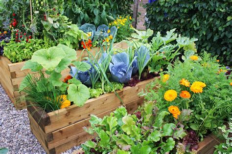 5 Ways To Add More Color To Your Vegetable Garden