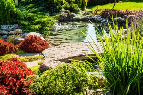 Water Wise Landscaping Design Tips Producers Hybrids