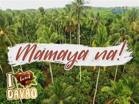 I Heart Davao Mamaya Na Gma Entertainment