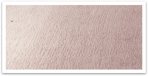 Professional cleaning service in pueblo, co. Carpet Cleaning in Pueblo | Upholstery Cleaning | Rug ...