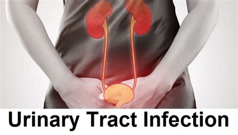 Signs And Symptoms Of Bladder Infection Urinary Tract Infection