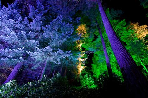 Autumn Events Some Enchanted Nights Forest Pictures Enchanted