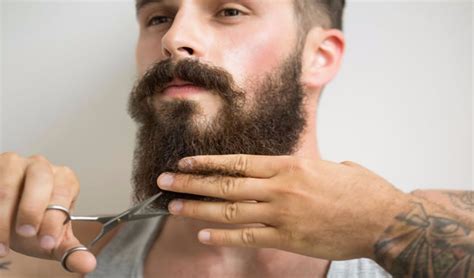 Beard Grooming 4 Super Tips Styles For Men - vrogue.co