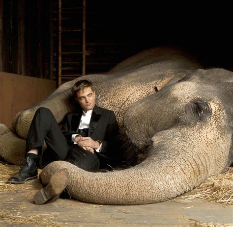 Wasser Für Die Elefanten Christoph Waltz Empfiehlt Sich Für Schurkenrollen Welt