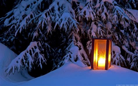 Download Winter Tree Snow Light Man Made Lantern Hd Wallpaper
