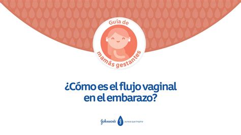 Guía De Mamás Gestantes ¿cómo Es El Flujo Vaginal En El Embarazo Youtube