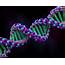 Using CRISPR To Map Human Gene Functions  Genetic Literacy Project