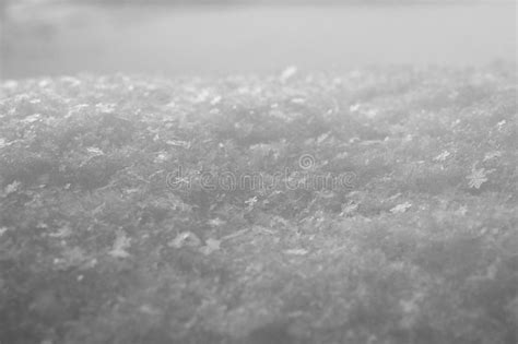 White Snowflakes Shot Close Up Winter And Cold Stock Photo Image Of