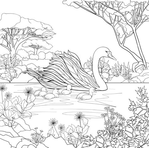The free coloring sheets can be used by educators or simply by children who love swans. New Swan Coloring Pages to Print | Top Free Printable ...