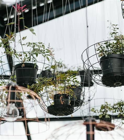 Hanging Wire Basket Wire Baskets Interior Plants Pink Interior Cafe