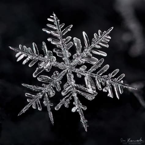 Snowflake Photos Cover Shot And This Years Best Macro In