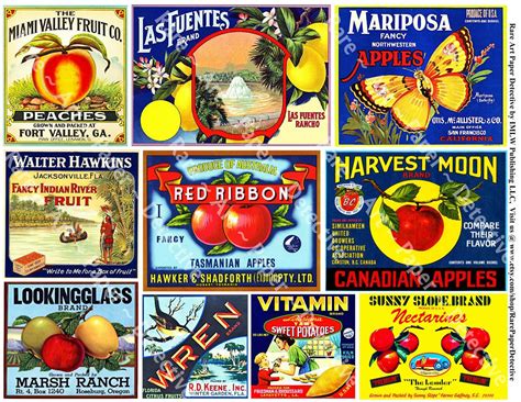 Vintage Fruit Crate Labels 5 Printed Sheets Huge Sticker