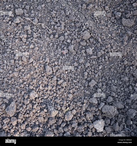 Black Soil Texture Stock Photo Alamy