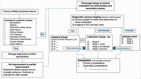 Diagnostic Approach To Lower Limb Edema Antonios P Gasparis Pamela S Kim Steven M Dean Neil