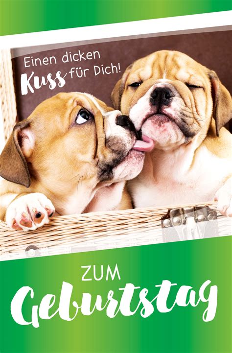 Geburtstag Karte Hund Papitex Zimmermann GmbH