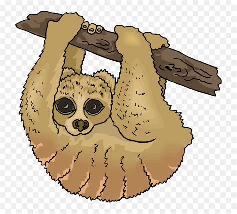 Sloth Clipart Three Toed Sloth Clipart Hd Png Download 750x698 Png