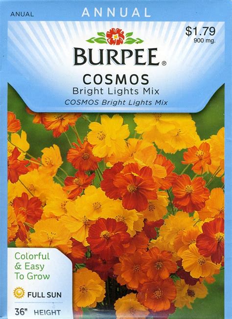 Burpee 38950 Cosmos Bright Lights Mix Seed Packet