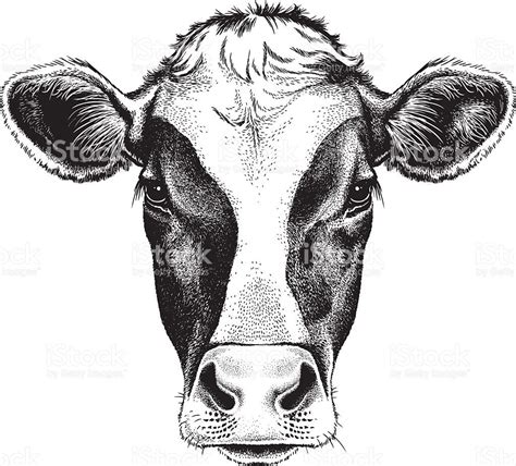 Printable Cow Face