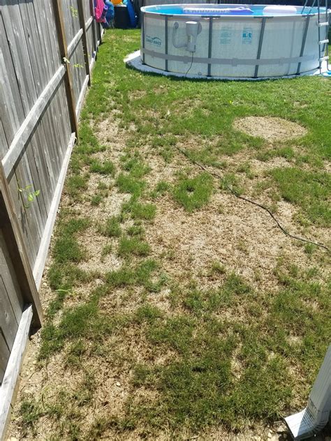 How To Repair Patchy Lawn