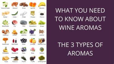 What You Need To Know About Wine Aromas The Aroma Types Intovino