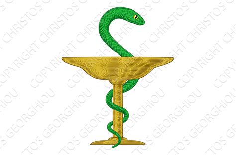 Bowl Of Hygieia Snake Medical Healthcare Illustrations Creative Market