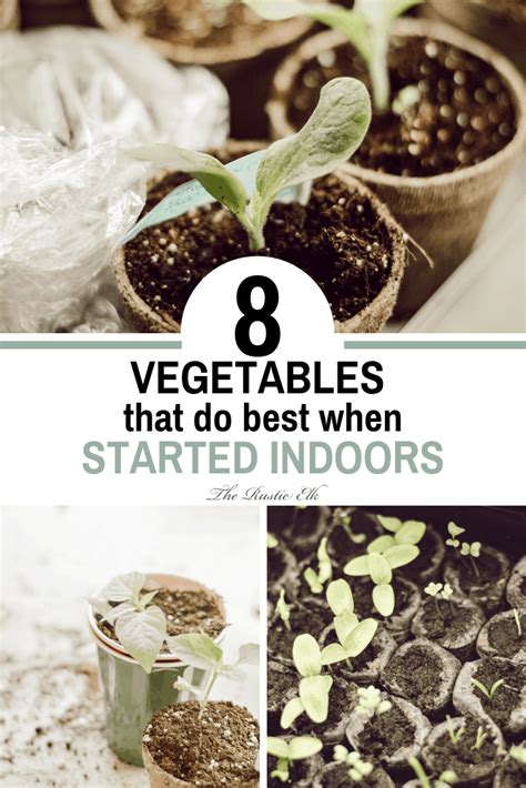 Greens like lettuce, kale, arugula (though starting your own seeds indoors is fairly easy. 8 Vegetables You Need to Start Indoors | Indoor vegetables ...