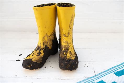 How To Clean Wellington Boots And Rain Boots Cleanipedia