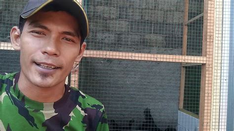 Pusaka wesi kuning dimana khasiat besi kuning merupakan sarana perlindungan atau pagar ghaib untuk keselamatan. Ciri - ciri Ayam cemani asli - YouTube