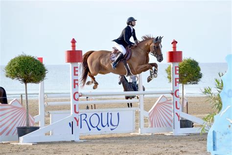 Participation Au Jumping D Erquy Plage Pour Les Curies De Plabenn